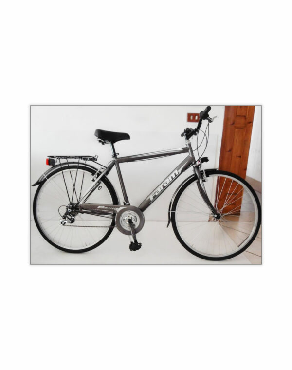 Tipologia bicicletta Archives - Pagina 13 di 14 - Faram Rieti - Terni